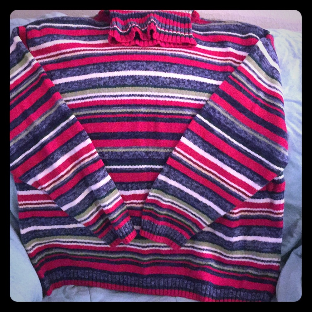 Turtle Neck Winter Sweater